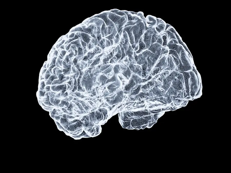 Neurocirugía